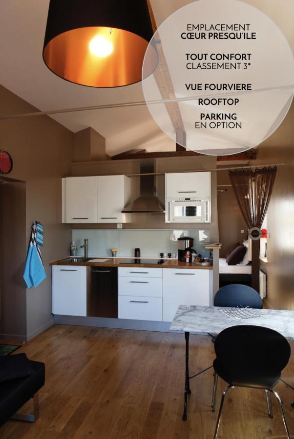 Les Toits De Lyon Apartment Екстериор снимка